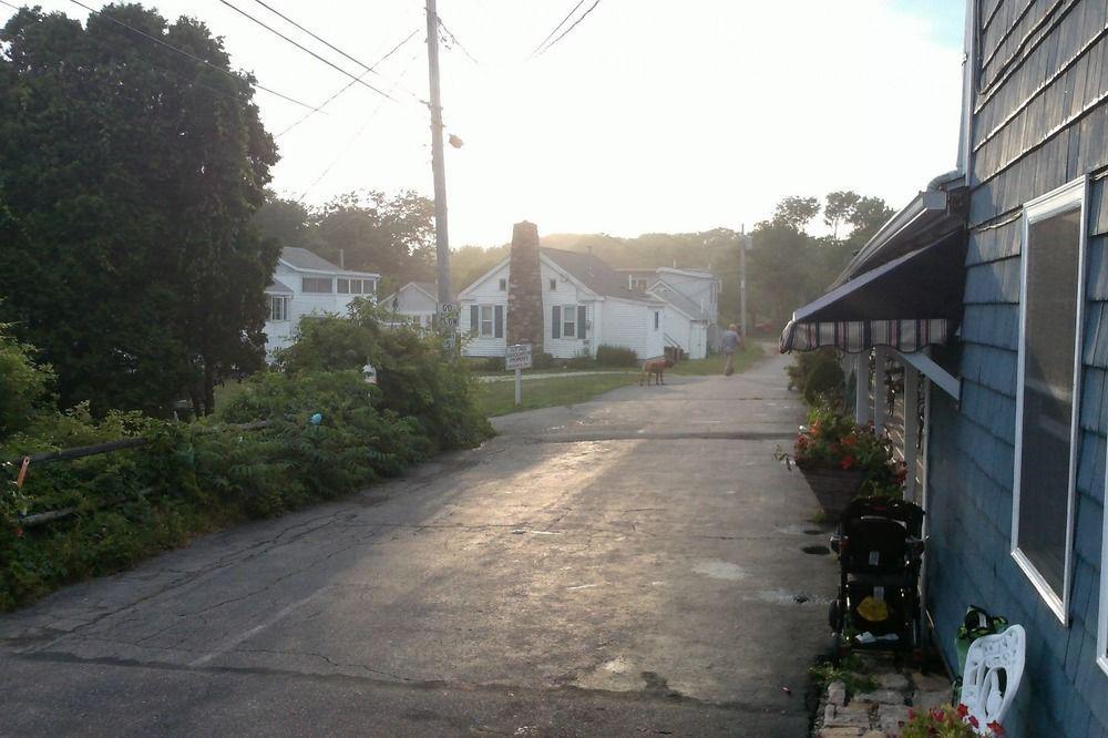 Sea Turn Motel York Εξωτερικό φωτογραφία